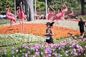 BIB: 
                            <button type="button" onclick="openModal(27794349)" class="btn btn-primary btn-sm float-right btn-popup" data-toggle="modal" data-target=".modal-high-quality">
                        <i class="fas fa-shopping-cart"></i> Add to Cart
                    </button>
                                            <button type="button" onclick="isThisMe(27794349, true)" class="btn btn-success btn-sm float-right btn-popup btn-isme hidden" data-toggle="tooltip" data-placement="bottom" title="นี่คือรูปของคุณใช่ไหม คลิกที่นี่เพื่อเอาเข้าอัลบั้ม">
                        <i class="fas fa-plus"></i> Add to album
                    </button>
                    <button type="button" onclick="isThisMe(27794349, false)" class="btn btn-warning btn-sm float-right btn-popup btn-isnotme hidden">
                        <i class="fas fa-ban"></i> Remove from album
                    </button>